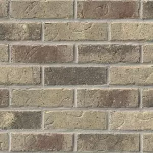 Desert Common Brick