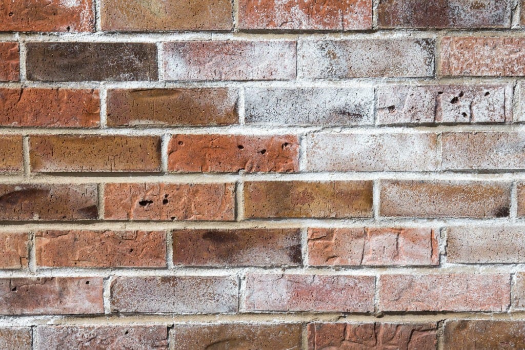 Brick wall with white efflorescence